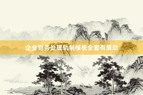 企业财务处理轨制模板全套有策动